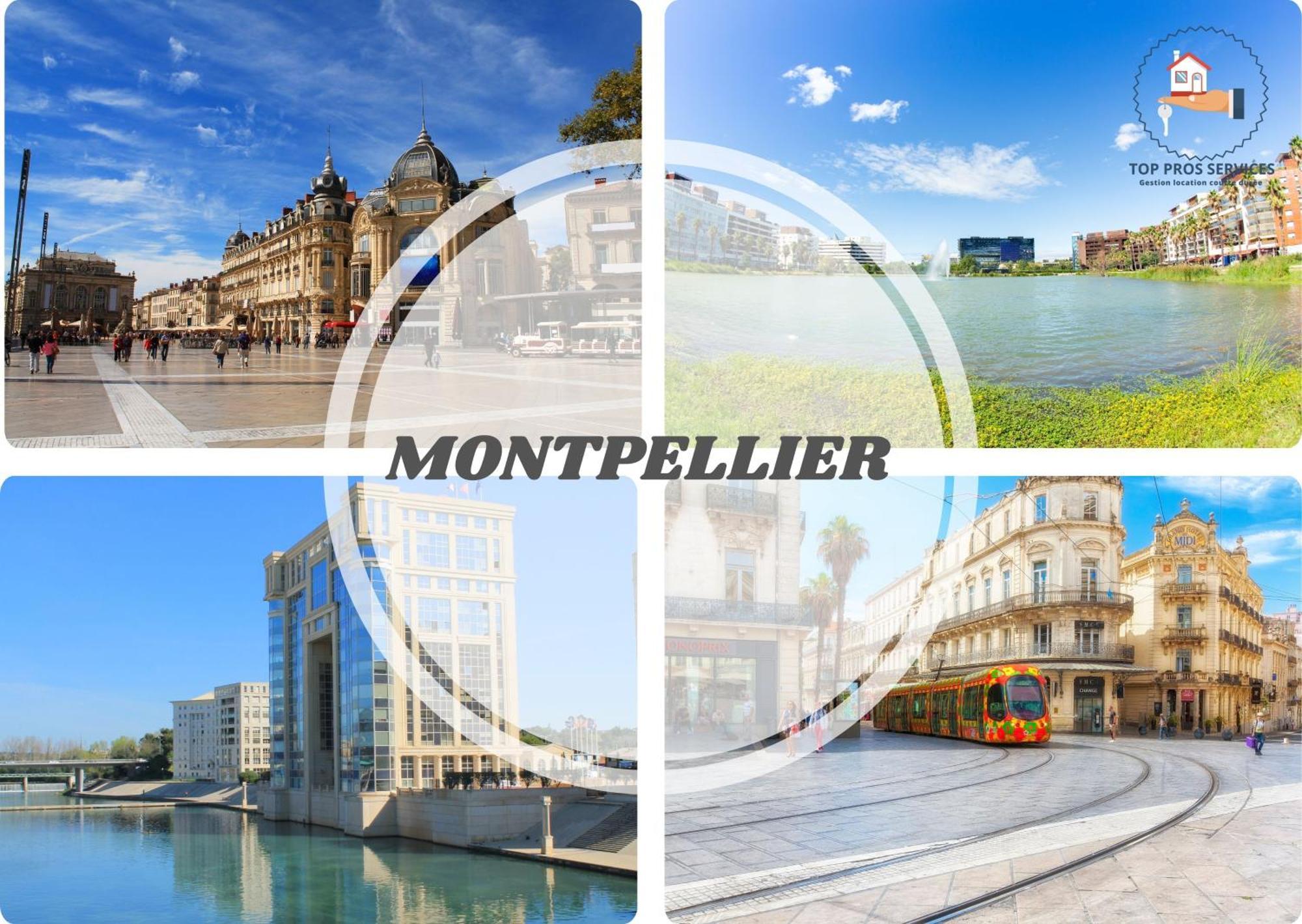 Le Cosy Wifi Clim Jardin Top Pros Servicesconciergerie Montpellier Luaran gambar